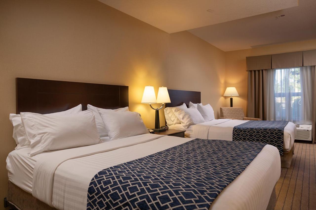 Bayview Hotel Courtenay Eksteriør billede