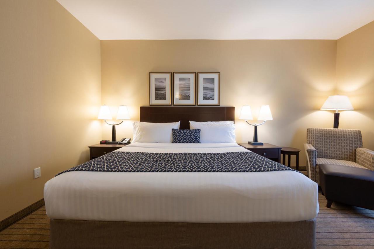 Bayview Hotel Courtenay Eksteriør billede